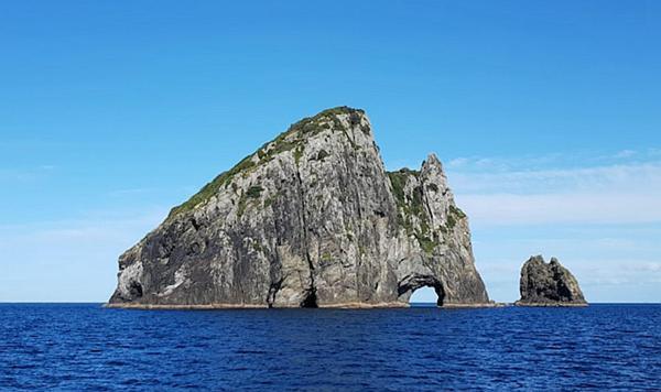 Horse Shoe Manor Paihia Luaran gambar